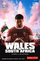 Wales v South Africa 2010 rugby  Programmes